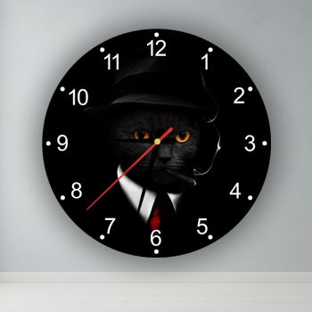 Mr Cica  kör alakú falióra