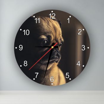 Mopsz  kör alakú falióra