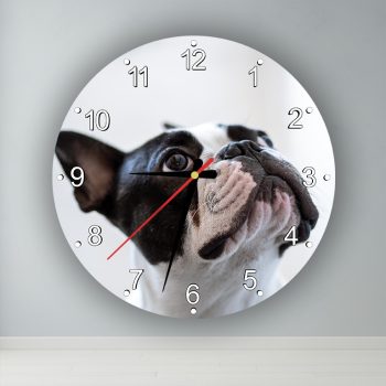 Kutyus  kör alakú falióra