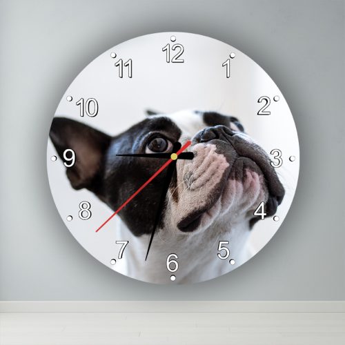 Kutyus  kör alakú falióra