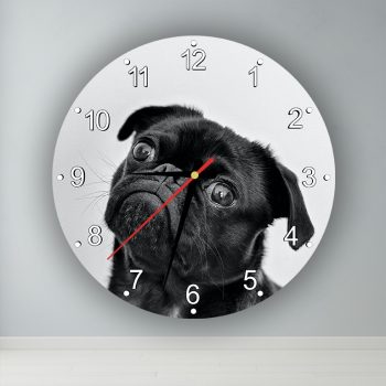 Mopsz  kör alakú falióra